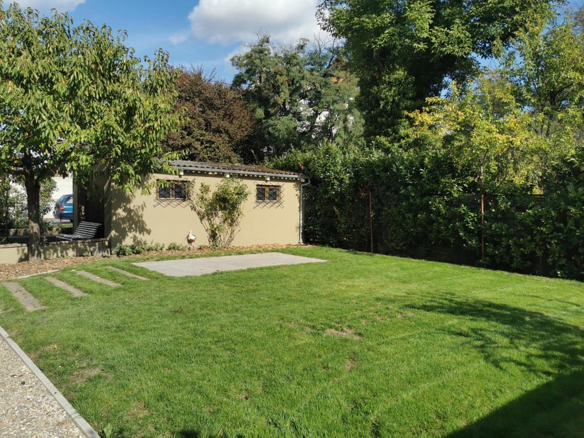 La Maison De Lucie - Grande Maison Ideale En Famille Ou Entre Amis - Jardin - Parking Gratuit Sélestat Exteriör bild