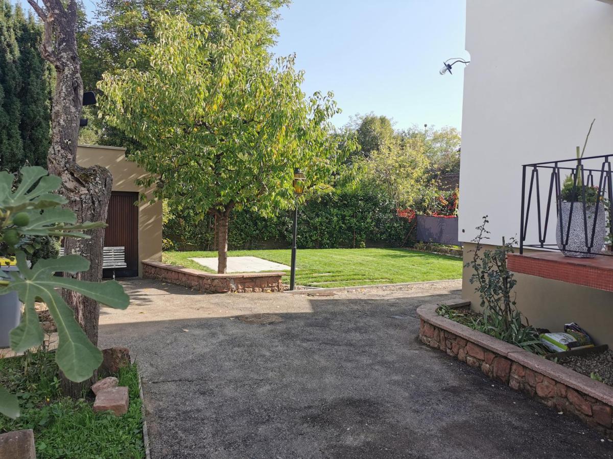 La Maison De Lucie - Grande Maison Ideale En Famille Ou Entre Amis - Jardin - Parking Gratuit Sélestat Exteriör bild