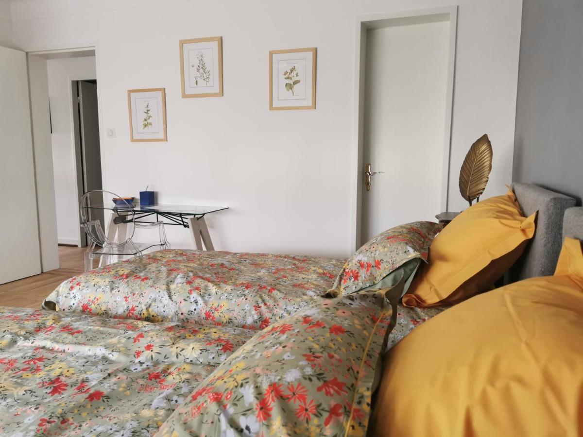 La Maison De Lucie - Grande Maison Ideale En Famille Ou Entre Amis - Jardin - Parking Gratuit Sélestat Exteriör bild