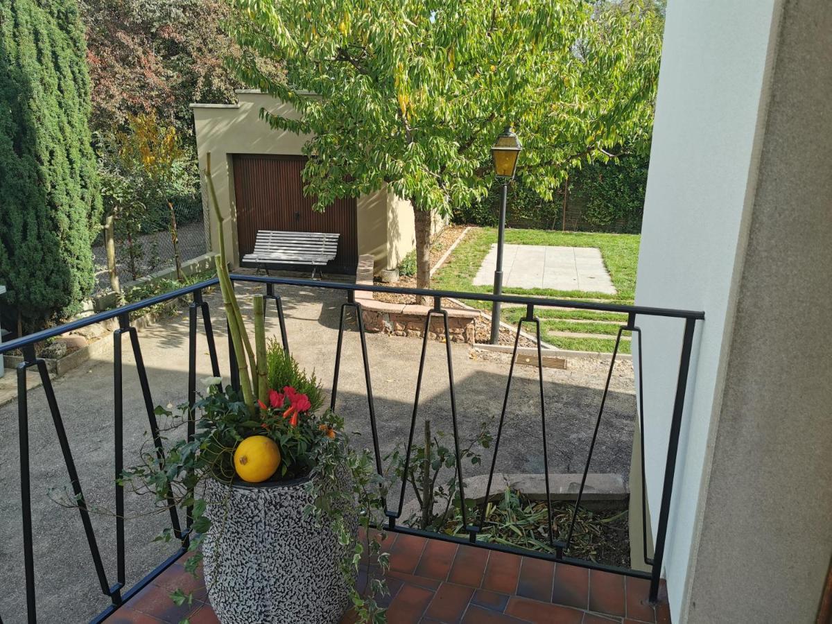 La Maison De Lucie - Grande Maison Ideale En Famille Ou Entre Amis - Jardin - Parking Gratuit Sélestat Exteriör bild